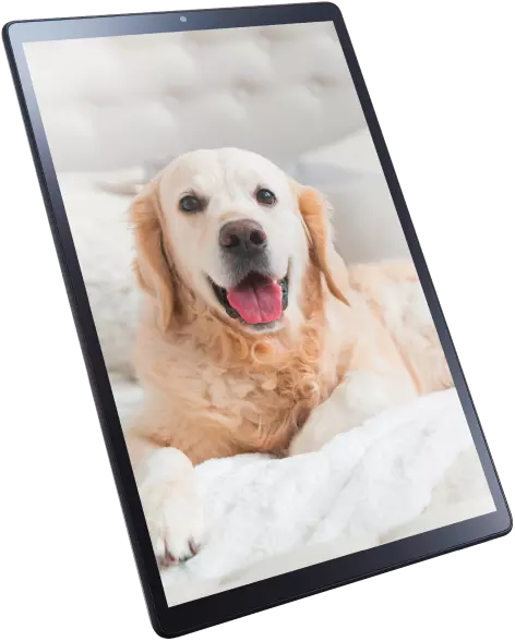 LAVIE Tab E 10.3型ワイド液晶