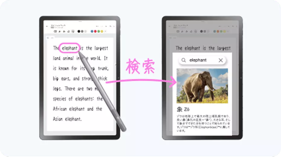 タブレットを使用して検索をしている写真